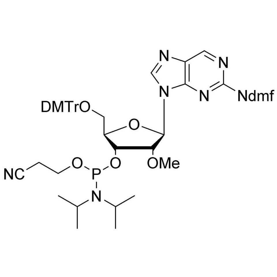 2'-OMe-2-Aminopurine Riboside CE-Phosphoramidite